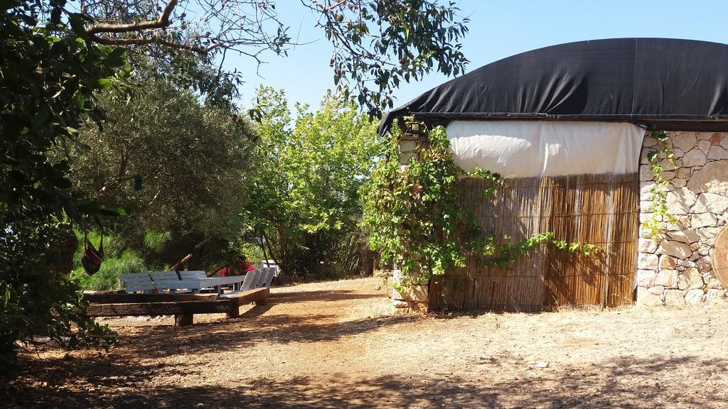 Back To Nature Camping & Huts Hotel Mikhmannim Ngoại thất bức ảnh